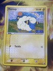 Mareep