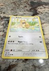 Bidoof