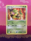 Turtwig