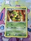 Turtwig