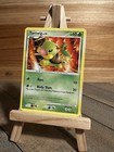 Turtwig