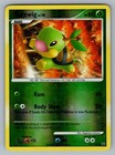 Turtwig