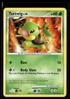Turtwig
