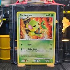 Turtwig