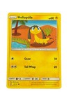 Helioptile