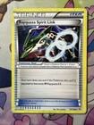 Rayquaza Spirit Link