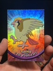 Pidgeot