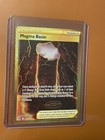 Magma Basin