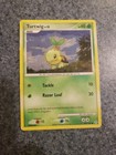 Turtwig