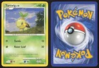 Turtwig