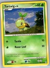 Turtwig