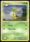 Turtwig