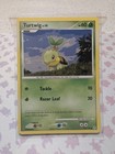 Turtwig