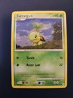 Turtwig