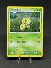 Turtwig