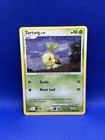 Turtwig