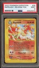 Rapidash