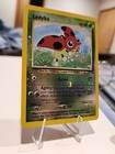 Ledyba