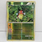 Ledyba