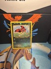 Ledyba