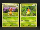 Ledyba