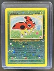 Ledyba