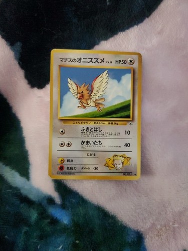 Lt. Surge's Spearow