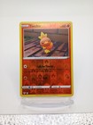 Torchic