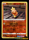Torchic