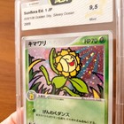 Sunflora