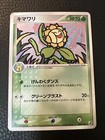 Sunflora