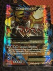 M Camerupt EX
