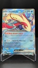Miolotic ex
