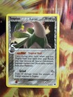 Tropius