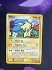 Minun