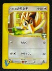 Falkner's Farfetch'd