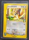 Falkner's Farfetch'd