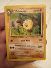 Primeape