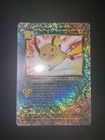 Dark Raichu