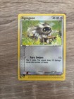 Zigzagoon