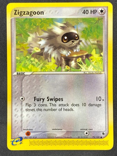 Zigzagoon