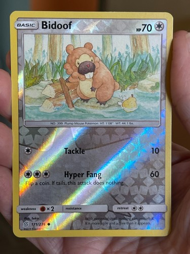 Bidoof