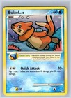 Buizel