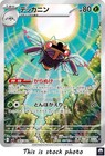 Ninjask