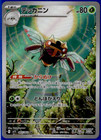 Ninjask