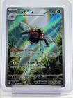 Ninjask