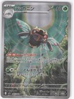 Ninjask