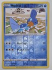Mudkip