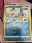 Mudkip