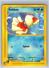 Goldeen